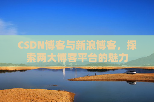 CSDN博客与新浪博客，探索两大博客平台的魅力